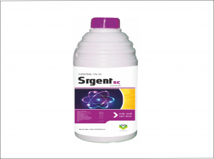 Srgent SC